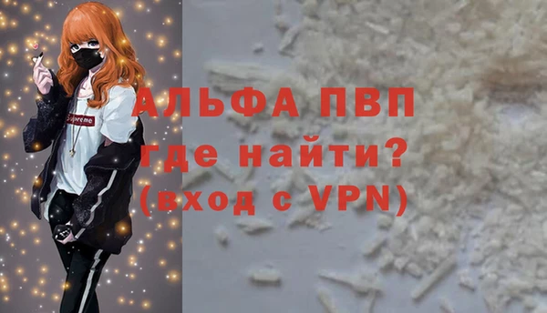 спиды Богданович