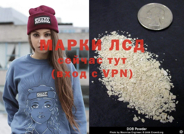 шишки Семикаракорск