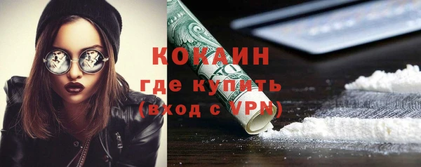 спиды Богданович